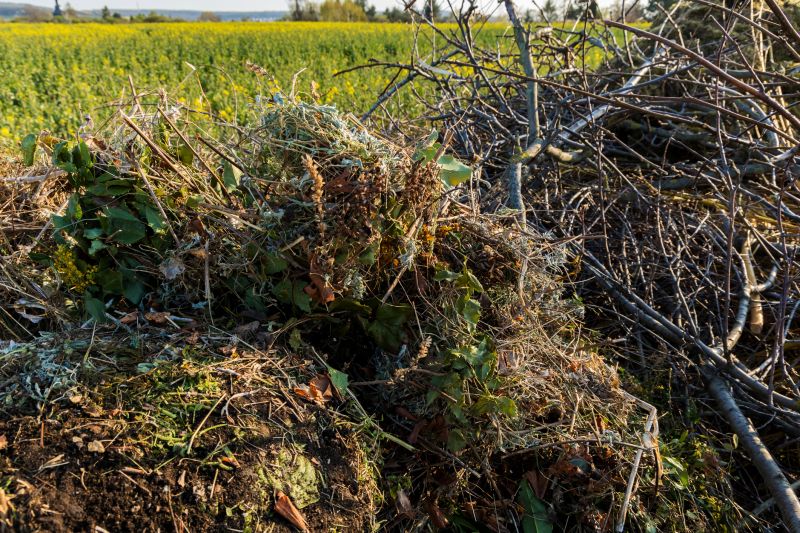 Brush Cleanup Service in Ventura County, CA