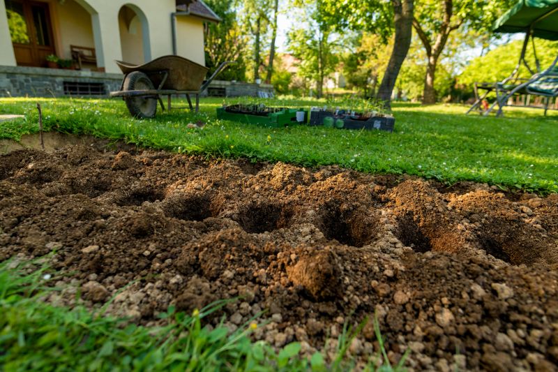 Garden Care Service in Honolulu, HI