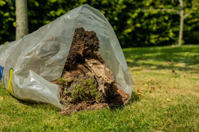 Landscaping Cleanup Service in Honolulu, HI