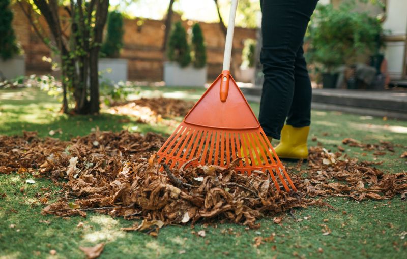 Leaf Raking Service in Honolulu, HI