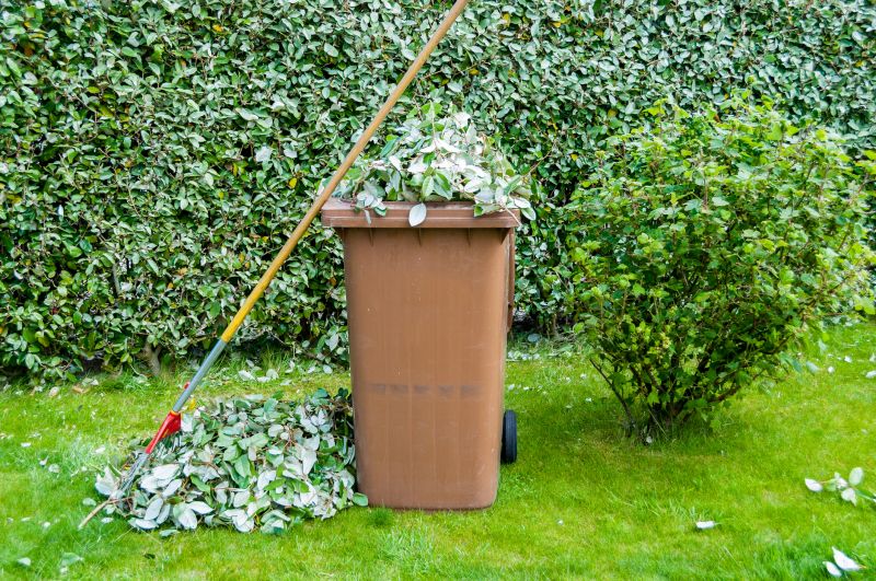 Leaf Removal in Ventura County, CA
