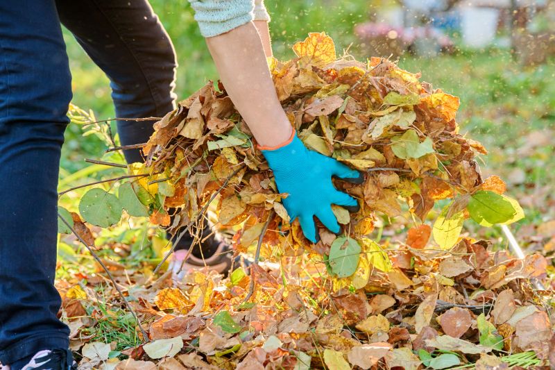 Leaves Vacuuming in Ventura County, CA