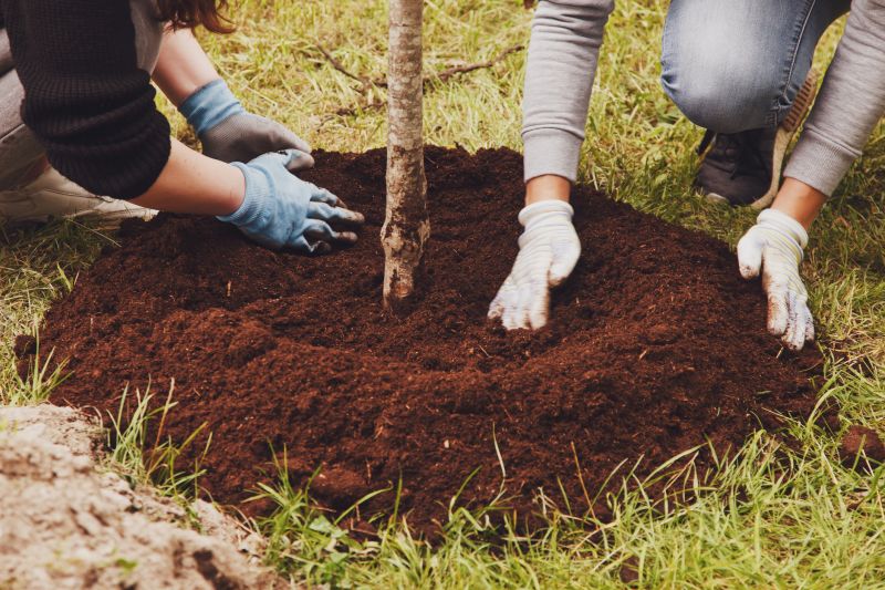 Ornamental Tree Planting in Ventura County, CA