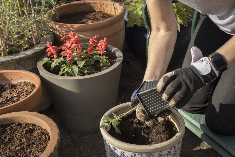 Perennials Planting in Ventura County, CA