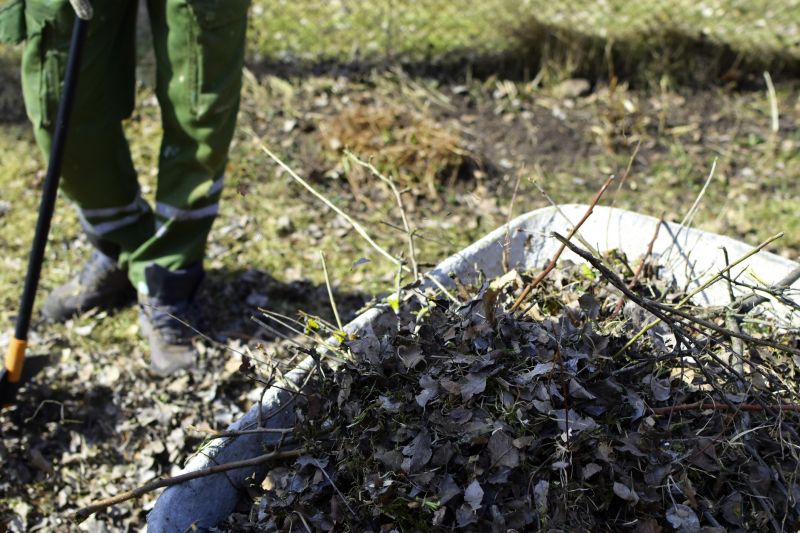 Products For Brush Haulings in use