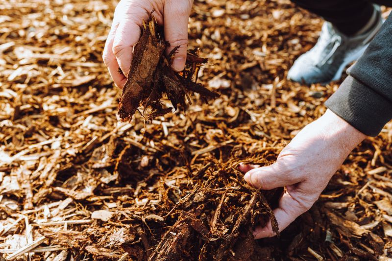 Shredded Mulch Installation in Ventura County, CA