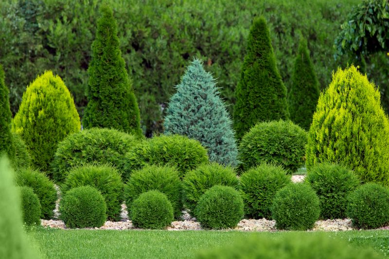 Shrub Landscaping in Honolulu, HI