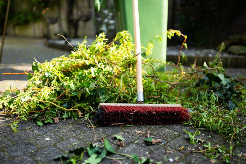 Spring Lawn Cleanup in Ventura County, CA