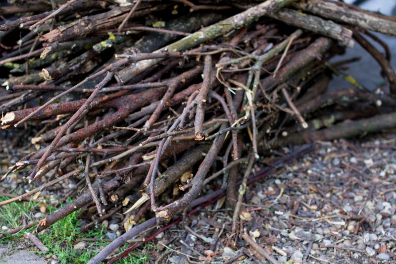 Wood Pile Removal in Honolulu, HI