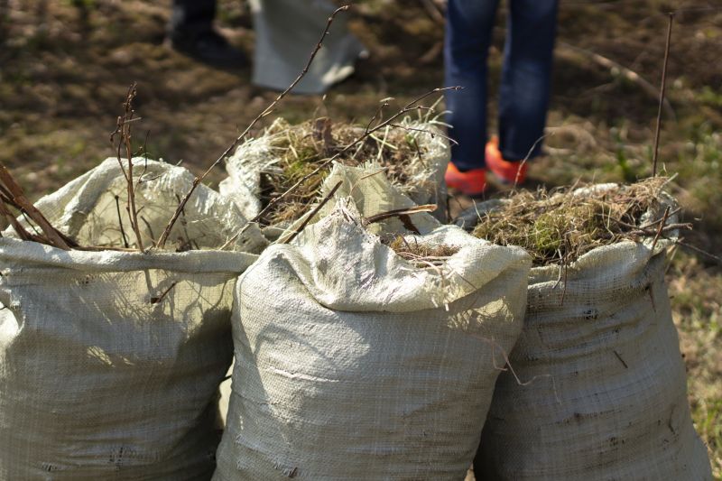 Contact About Brush Hauling