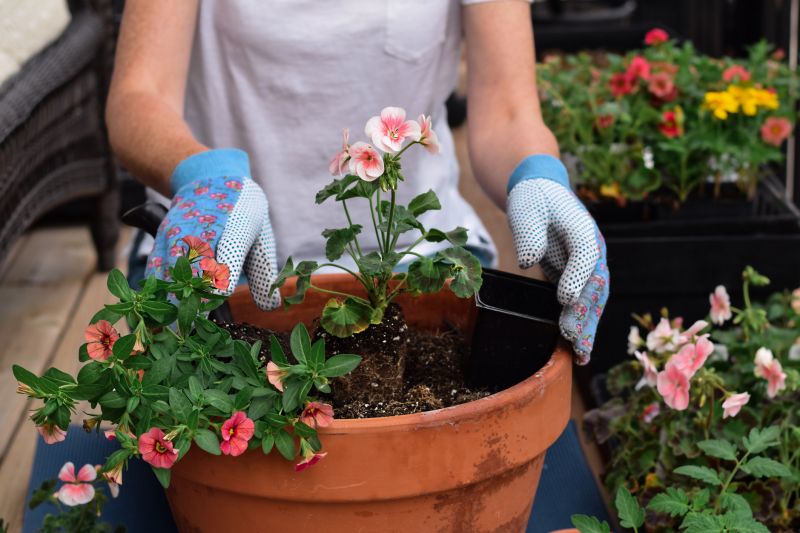 Garden Care Service in Honolulu, HI